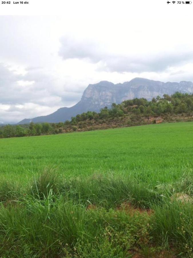 Preciosas Vistas A La Montana, Luminoso Y Acogedor Leilighet El Pueyo de Araguás Eksteriør bilde