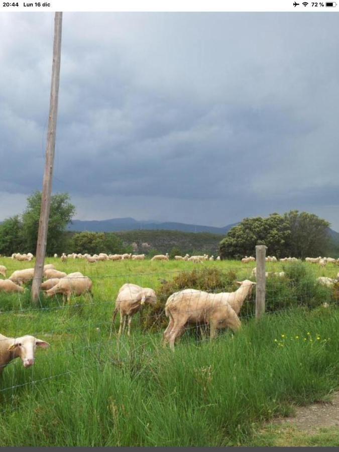 Preciosas Vistas A La Montana, Luminoso Y Acogedor Leilighet El Pueyo de Araguás Eksteriør bilde