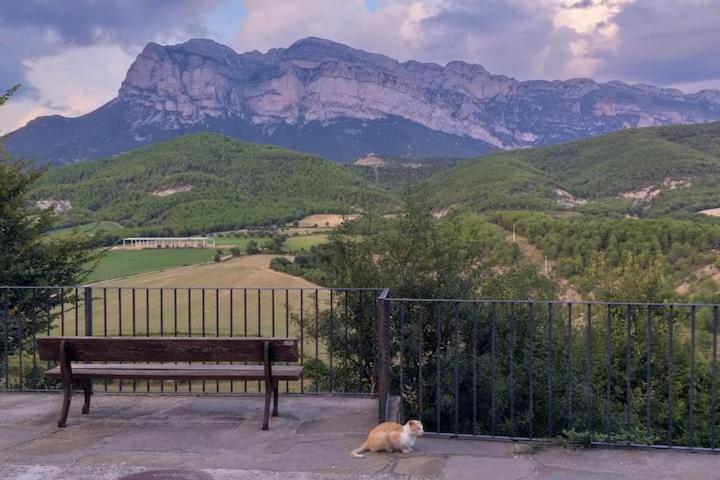 Preciosas Vistas A La Montana, Luminoso Y Acogedor Leilighet El Pueyo de Araguás Eksteriør bilde