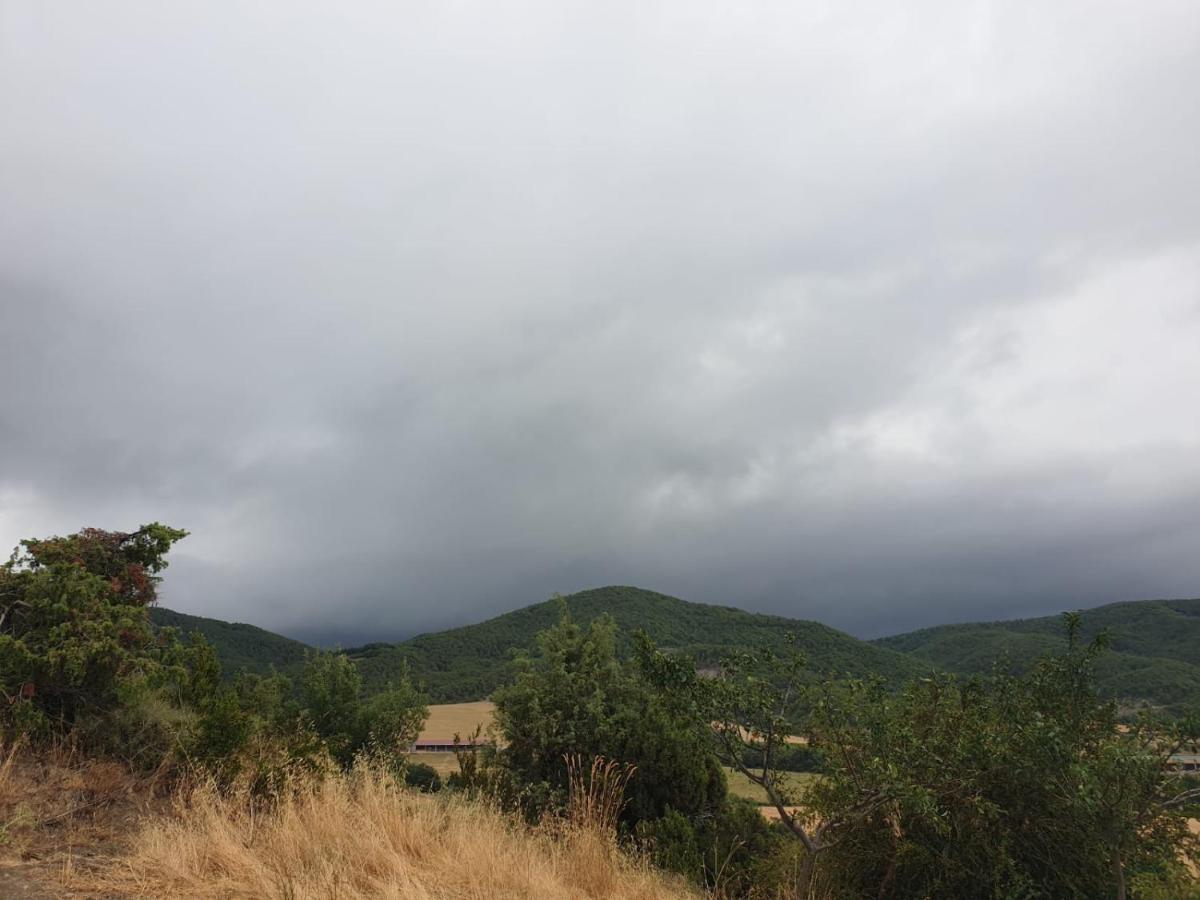 Preciosas Vistas A La Montana, Luminoso Y Acogedor Leilighet El Pueyo de Araguás Eksteriør bilde